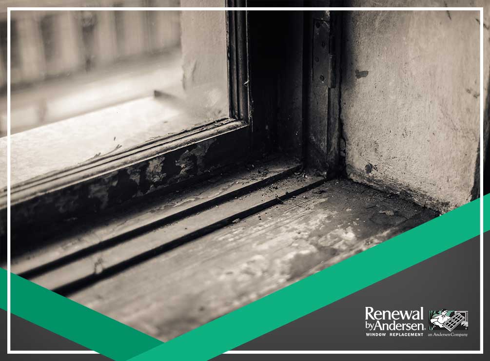 3 Major Causes of Premature Rotting in Window Frames