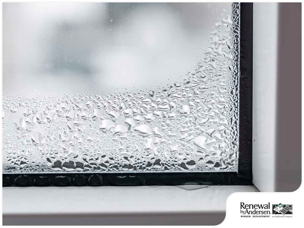 Window Condensation in Winter: Should You Be Concerned?