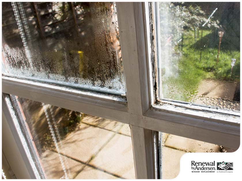 Why Is Your Window Sweating During Summer?