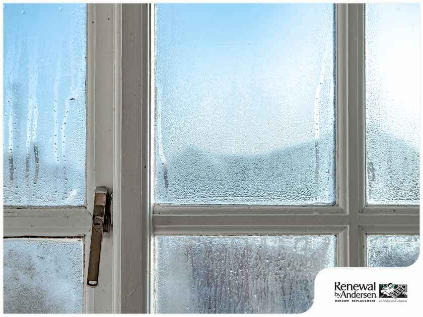 Dealing With Winter Condensation on Windows