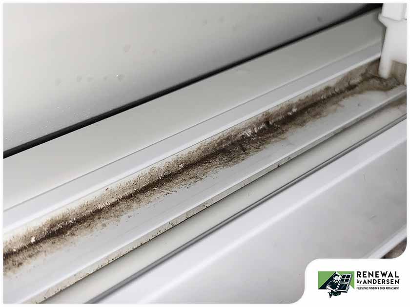 The Best Way to Deal With Mold Growth on Your Window Casings