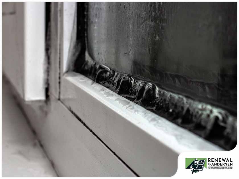 3 Signs Your Window Seals Have Failed