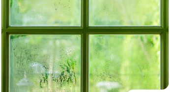 Window Condensation: When It Is and Isn’t Normal