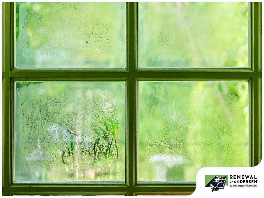 Window Condensation: When It Is and Isn’t Normal