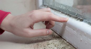 What’s Behind Moisture Buildup on Windows?