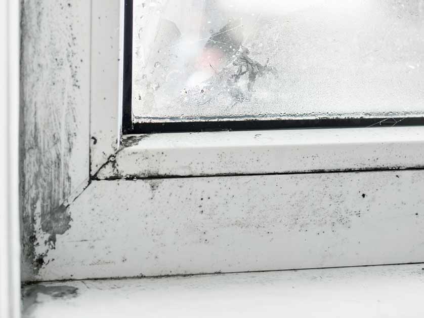 How Do You Know If You Have Drafty Windows?