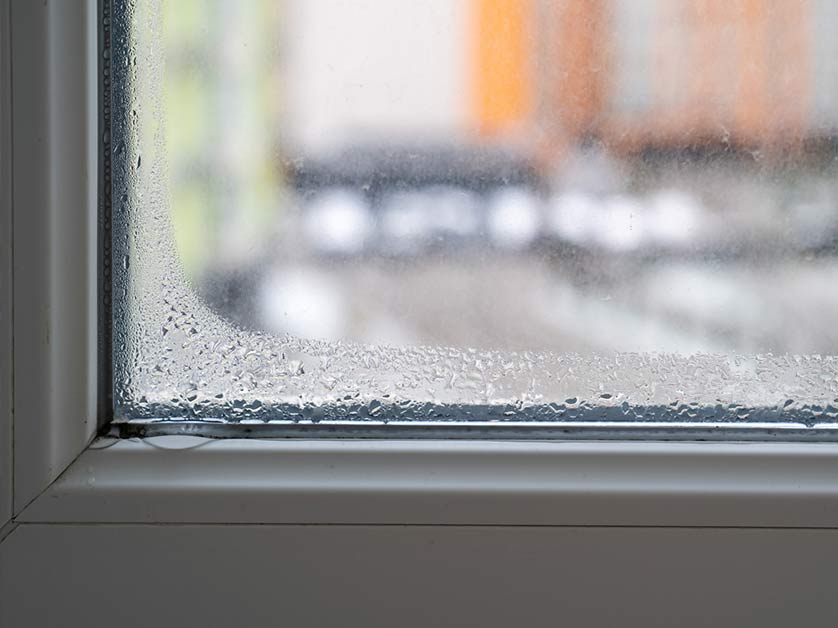 Common Window Problems to Watch Out For