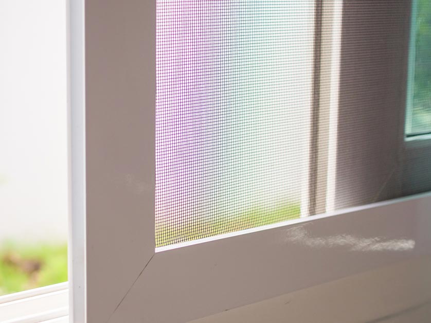 Should You Get Window Screens? Should You Get Window Screens?